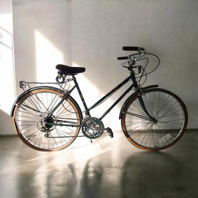 Vintage Greenbrier Free Spirit 10-Speed Road Bike – Classic Commuter Style