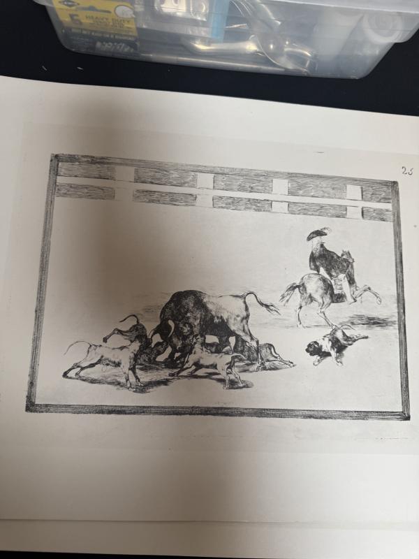 Sale Photo Thumbnail #350