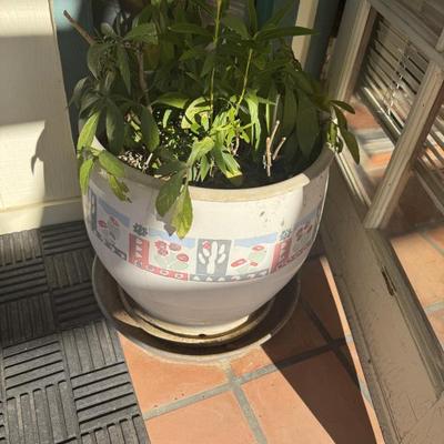 Sale Photo Thumbnail #322