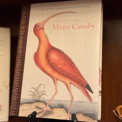 Sale Photo Thumbnail #205