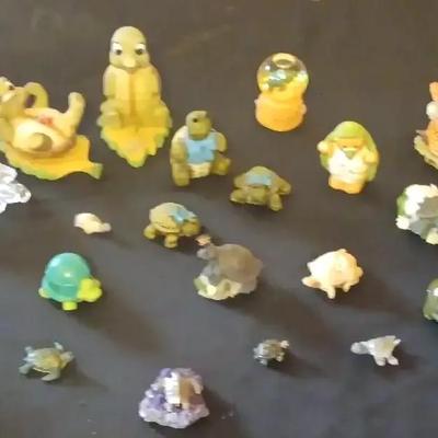 Cutest Tiny Turtles!