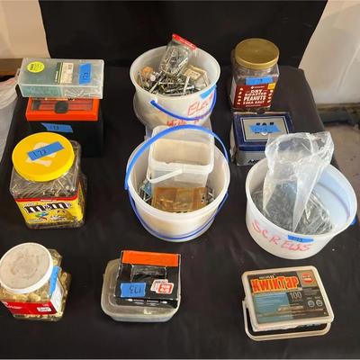 Assortment of Screws, Nails, Nuts, Bolts, and Fasteners of All Kinds!