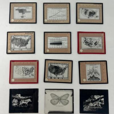 Vintage Glass Slides Framed & Unframed (12) Educational