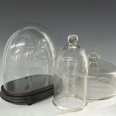 Three Glass Display Cloches