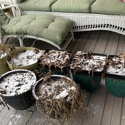 Sale Photo Thumbnail #40: Planter Pot Lot 