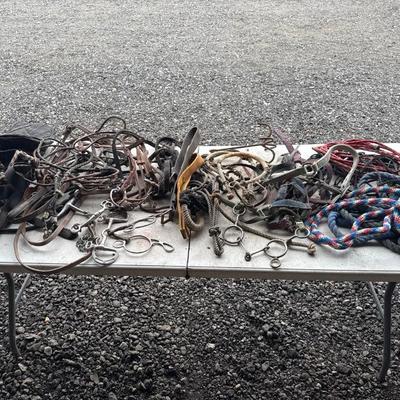 Sale Photo Thumbnail #495