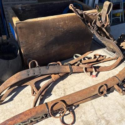 Sale Photo Thumbnail #148