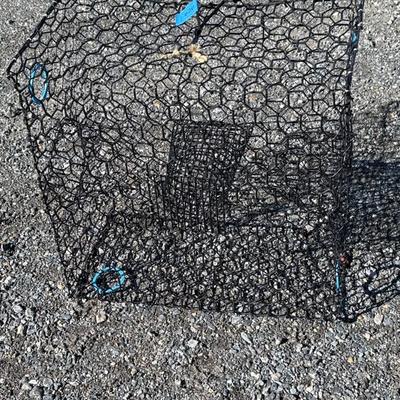 Sale Photo Thumbnail #420