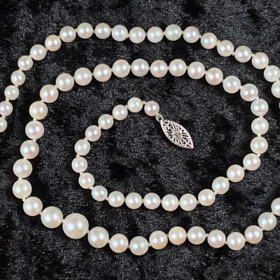 Sale Photo Thumbnail #97