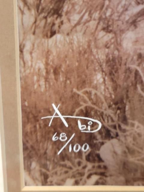 Sale Photo Thumbnail #16