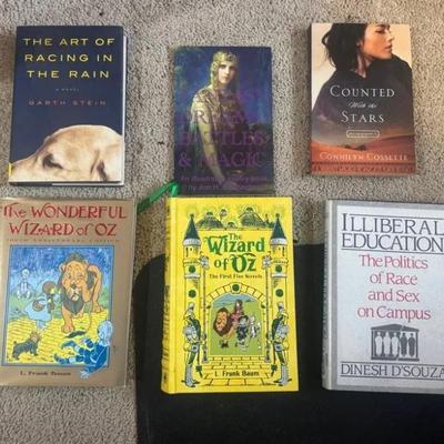 EFF024 - Mixed Book Lot – Classic Literature, Fantasy, Fiction & Nonfiction 