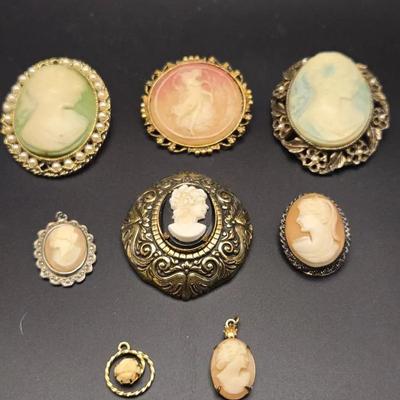 Assorted Vintage Cameo Brooches
