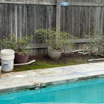 Sale Photo Thumbnail #92