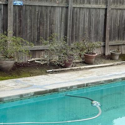 Sale Photo Thumbnail #93