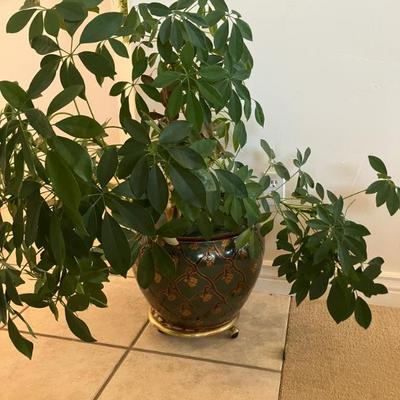 Sale Photo Thumbnail #9