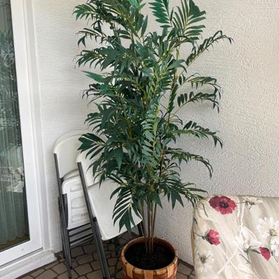 Sale Photo Thumbnail #113