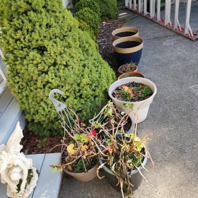 Sale Photo Thumbnail #37