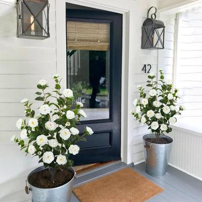 Sale Photo Thumbnail #104