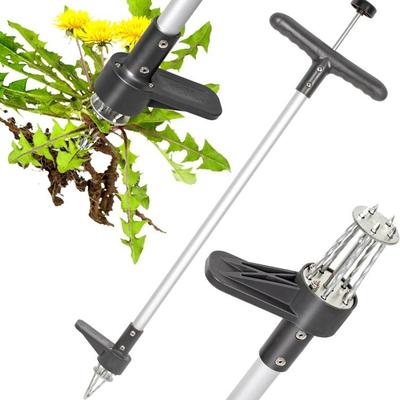 Sale Photo Thumbnail #534