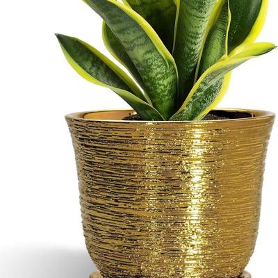 Sale Photo Thumbnail #457