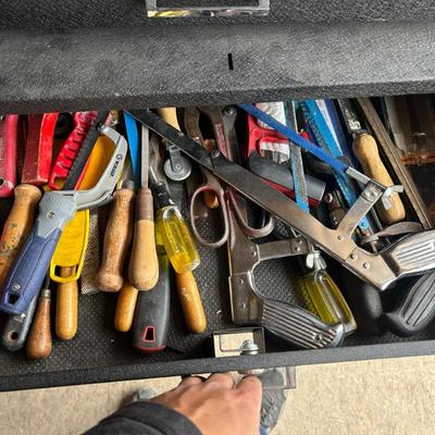 Sale Photo Thumbnail #256