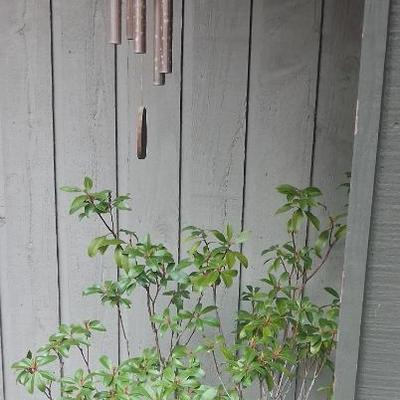 Sale Photo Thumbnail #13