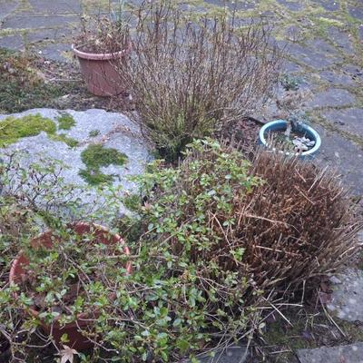 Sale Photo Thumbnail #14