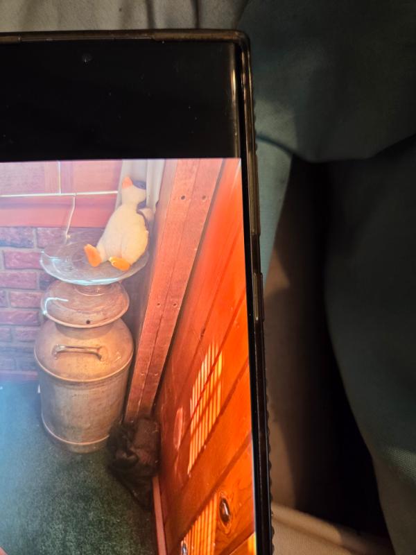 Sale Photo Thumbnail #15