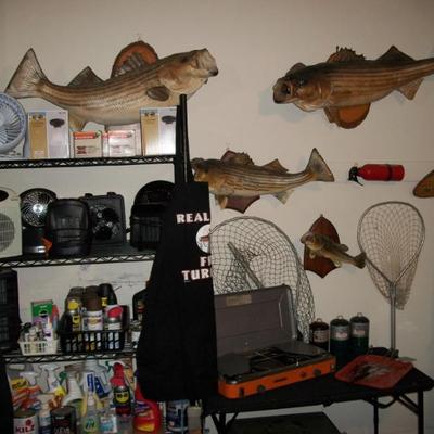 Sale Photo Thumbnail #57