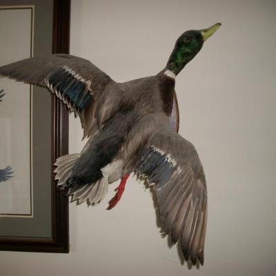 Sale Photo Thumbnail #25