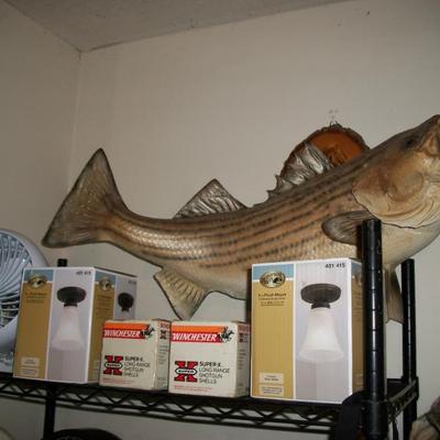 Sale Photo Thumbnail #60