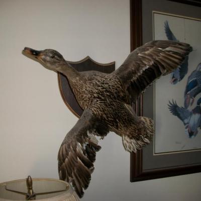 Sale Photo Thumbnail #26