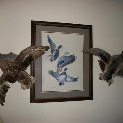 Sale Photo Thumbnail #24