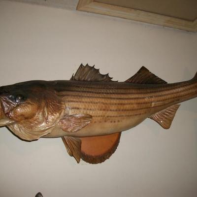 Sale Photo Thumbnail #59