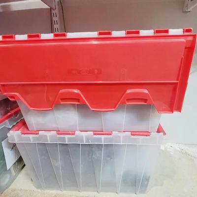 Pinecones For Craft Use - 2 Totes 