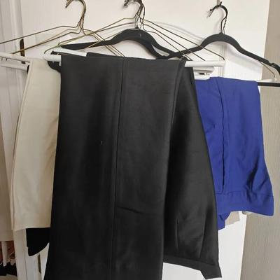 Women's Dress Pants Lot (10 Pc) Chico's Size 1-2, Other Brands Size 12