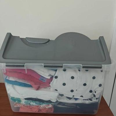 Casual Pant/Shirt/Dress Lot, Size S-L/10. Chico's Size 1-2, Ralph Lauren, Alfred Dunner, etc