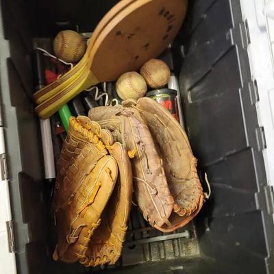 Backyard Sporting Goods Lot