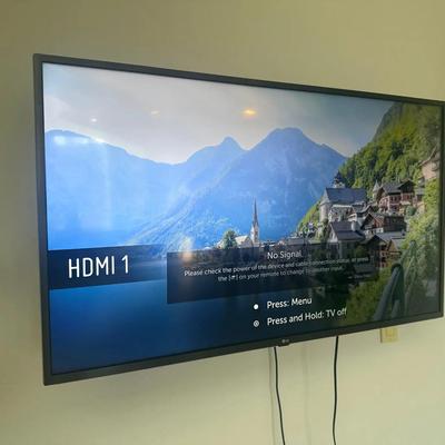 LG 50" Flat Screen TV - HDMI Inputs
