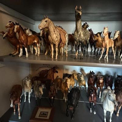 Sale Photo Thumbnail #4