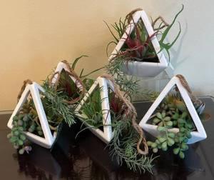 Sale Photo Thumbnail #18