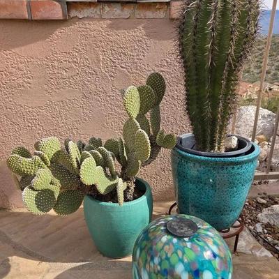 Turquoise Pots & Light