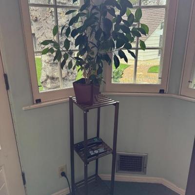 Sale Photo Thumbnail #116