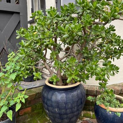 Sale Photo Thumbnail #117