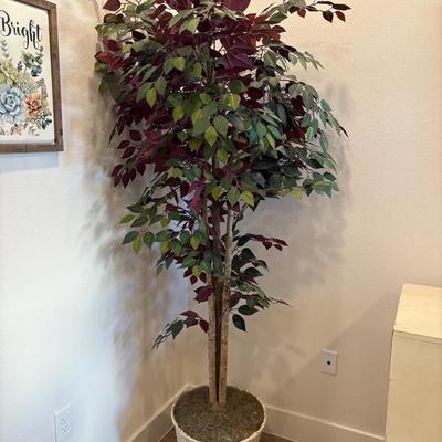 Faux Ficus In Wicker Planter 