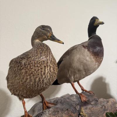 Sale Photo Thumbnail #47