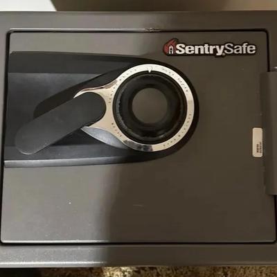 Sentry Fire-safe