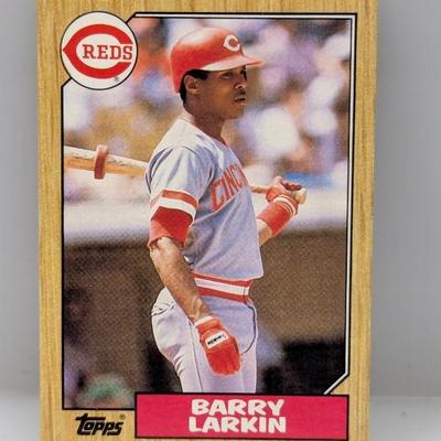 Sale Photo Thumbnail #561