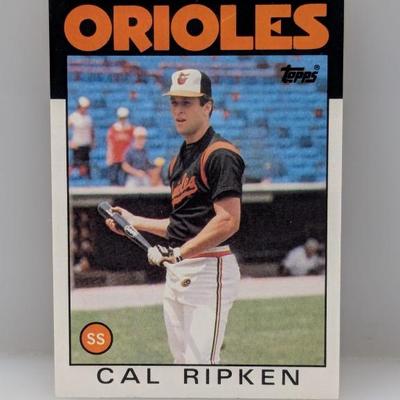 Sale Photo Thumbnail #458