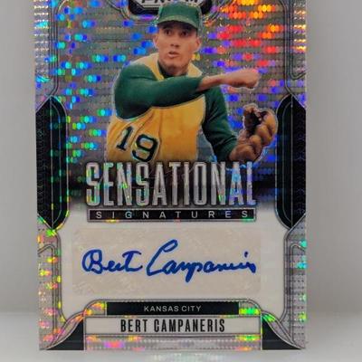 Sale Photo Thumbnail #454